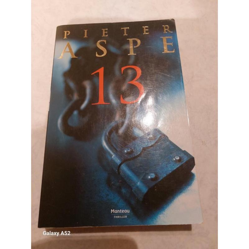 Pieter Aspe - 13